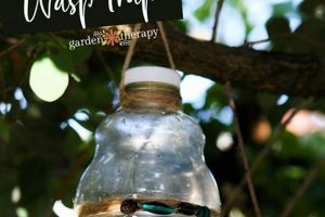 Make a DIY Wasp Trap: Easy & Effective Pest Control | The DIY Hub: Creative Crafts, Repairs & Life Hacks