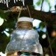 Make a DIY Wasp Trap: Easy & Effective Pest Control | The DIY Hub: Creative Crafts, Repairs & Life Hacks