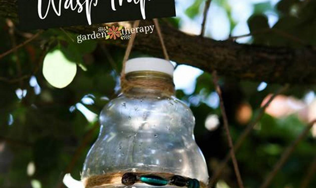 Make a DIY Wasp Trap: Easy & Effective Pest Control | The DIY Hub: Creative Crafts, Repairs & Life Hacks