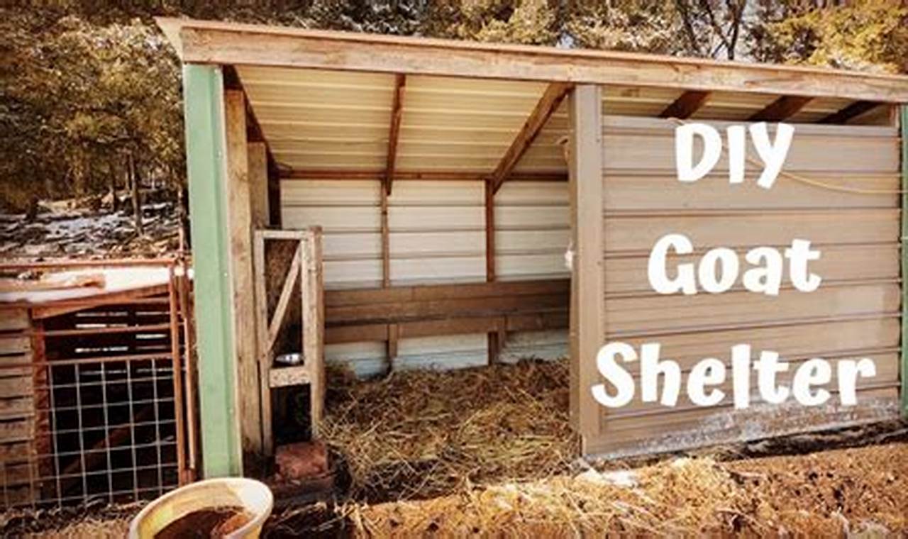 Build a Better DIY Goat Shelter: Plans & Tips | The DIY Hub: Creative Crafts, Repairs & Life Hacks
