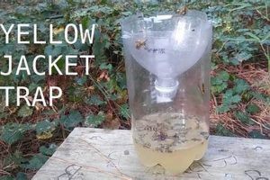 Easy Yellow Jacket Trap DIY: Build Your Own! | The DIY Hub: Creative Crafts, Repairs & Life Hacks