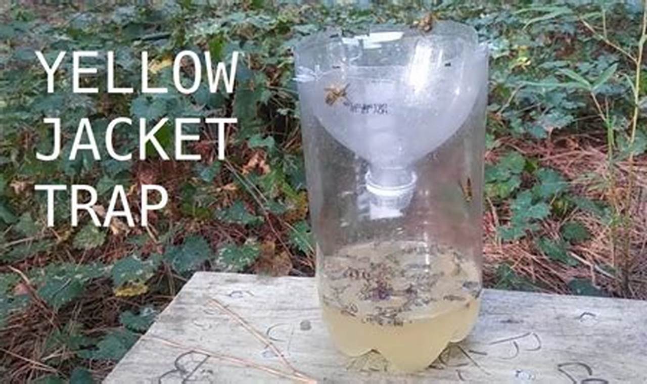 Easy Yellow Jacket Trap DIY: Build Your Own! | The DIY Hub: Creative Crafts, Repairs & Life Hacks