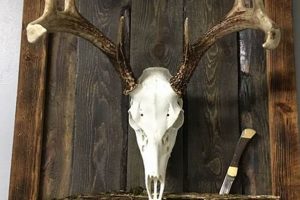 Easy DIY European Mount: The Complete Guide! | The DIY Hub: Creative Crafts, Repairs & Life Hacks