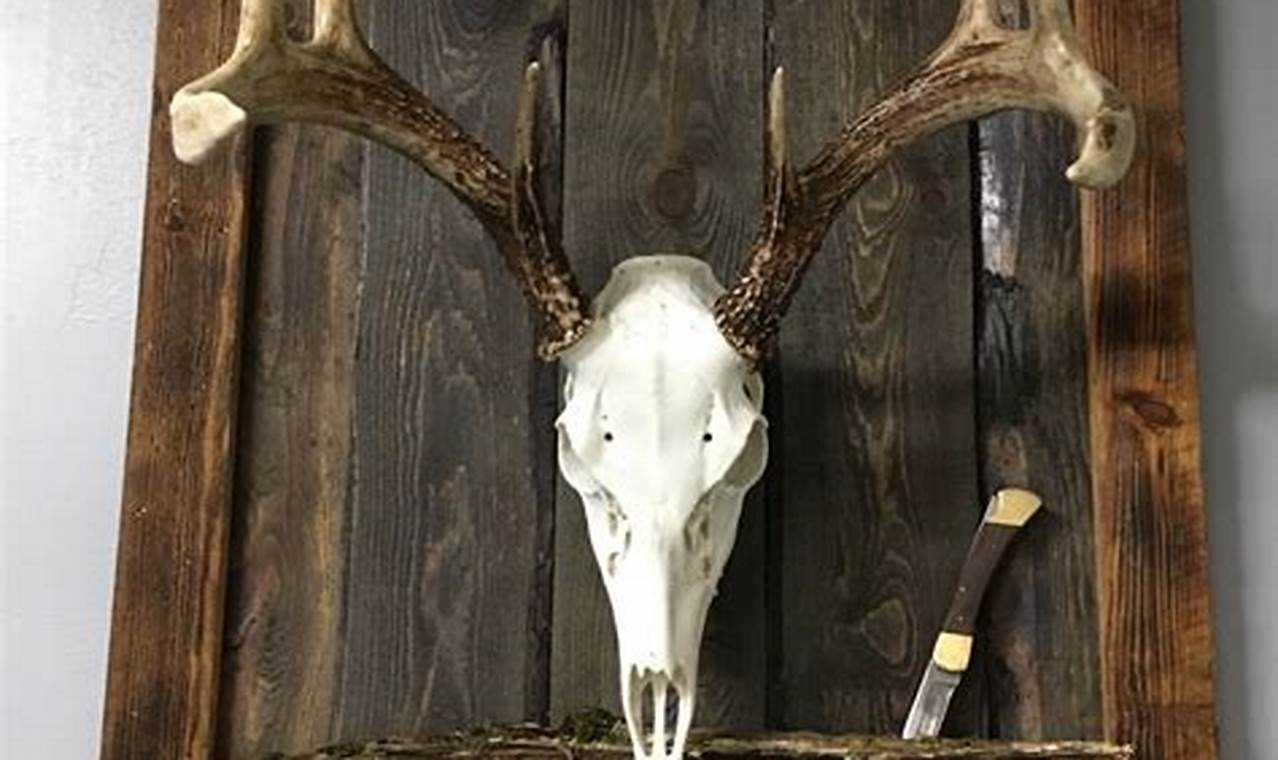 Easy DIY European Mount: The Complete Guide! | The DIY Hub: Creative Crafts, Repairs & Life Hacks