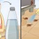 Quick Fix: How to Get Rid of Roaches Overnight DIY Fast! | The DIY Hub: Creative Crafts, Repairs & Life Hacks