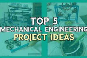 DIY: Easy USA Mechanical Projects for Sophomores! Build It | The DIY Hub: Creative Crafts, Repairs & Life Hacks