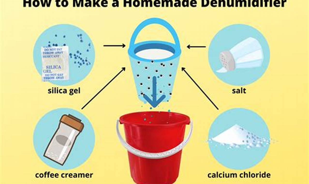 Easy DIY Dehumidifier: Build It Yourself at Home! | The DIY Hub: Creative Crafts, Repairs & Life Hacks
