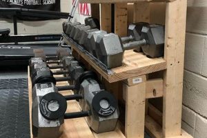 Build a Strong DIY Dumbbell Rack: Easy Guide | The DIY Hub: Creative Crafts, Repairs & Life Hacks