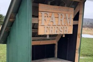 Build a DIY Farmstand: Easy Plans & Ideas | The DIY Hub: Creative Crafts, Repairs & Life Hacks