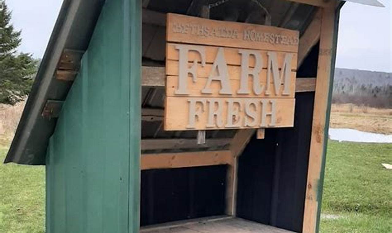 Build a DIY Farmstand: Easy Plans & Ideas | The DIY Hub: Creative Crafts, Repairs & Life Hacks