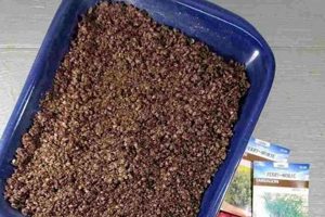 Easy DIY Seed Starter Mix Recipe: Grow Your Own! | The DIY Hub: Creative Crafts, Repairs & Life Hacks