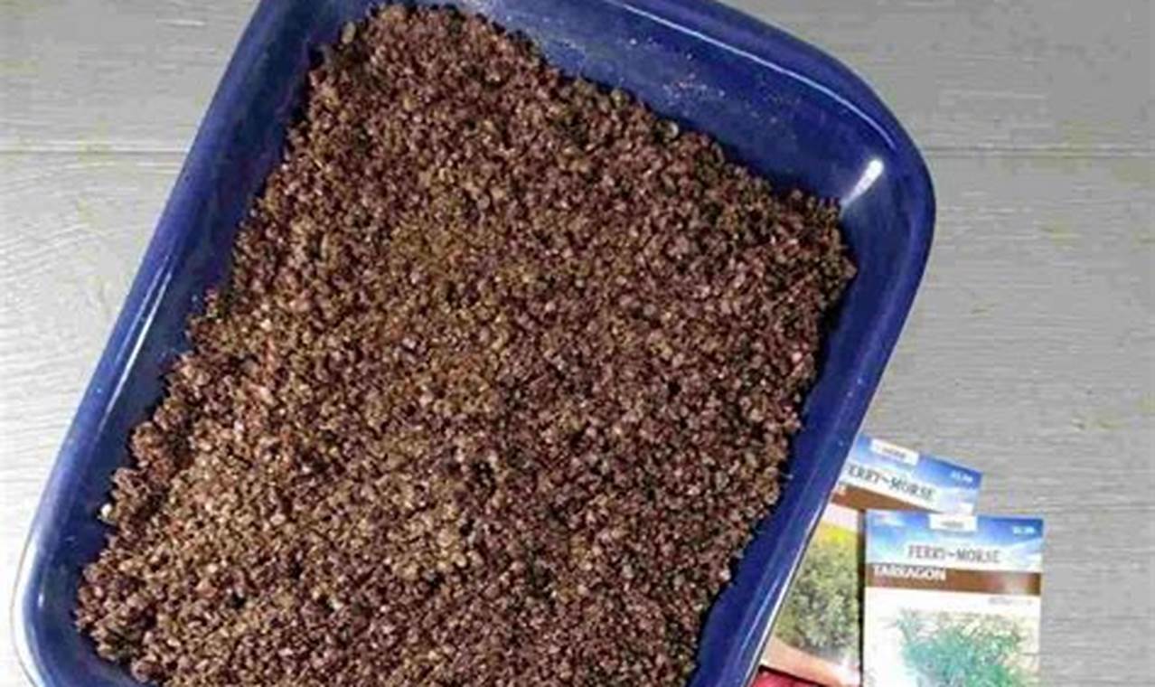 Easy DIY Seed Starter Mix Recipe: Grow Your Own! | The DIY Hub: Creative Crafts, Repairs & Life Hacks