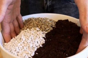 Easy DIY Seed Starting Mix Recipe: Grow Healthy Seedlings The DIY Hub: Creative Crafts, Repairs & Life Hacks Easy DIY Seed Starting Mix Recipe: Grow Healthy Seedlings | The DIY Hub: Creative Crafts, Repairs & Life Hacks
