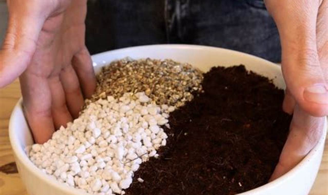 Easy DIY Seed Starting Mix Recipe: Grow Healthy Seedlings The DIY Hub: Creative Crafts, Repairs & Life Hacks Easy DIY Seed Starting Mix Recipe: Grow Healthy Seedlings | The DIY Hub: Creative Crafts, Repairs & Life Hacks