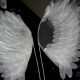 Easy DIY Angel Wings: Make Your Own Costume! | The DIY Hub: Creative Crafts, Repairs & Life Hacks