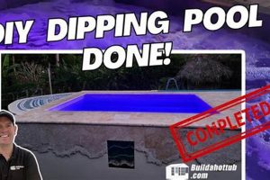 Easy DIY Dip Pool Ideas: Your Backyard Oasis! The DIY Hub: Creative Crafts, Repairs & Life Hacks Easy DIY Dip Pool Ideas: Your Backyard Oasis! | The DIY Hub: Creative Crafts, Repairs & Life Hacks