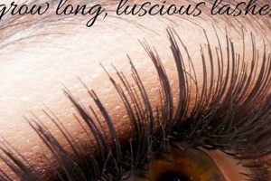 Boost: DIY Lash Serum Recipes & Tips Guide | The DIY Hub: Creative Crafts, Repairs & Life Hacks