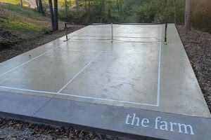 Build Your Own DIY Pickleball Court: Guide & Tips | The DIY Hub: Creative Crafts, Repairs & Life Hacks