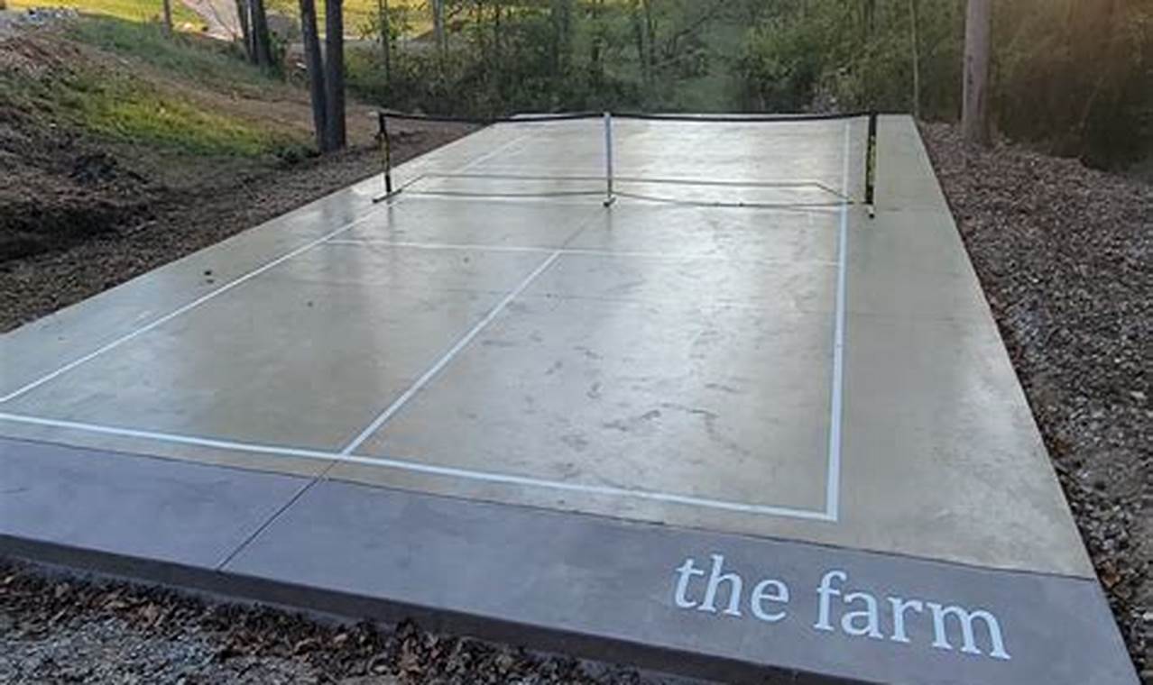 Build Your Own DIY Pickleball Court: Guide & Tips