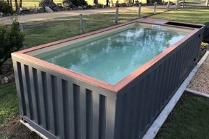 Affordable Shipping Container Pool DIY Ideas: Build Your Oasis! The DIY Hub: Creative Crafts, Repairs & Life Hacks Affordable Shipping Container Pool DIY Ideas: Build Your Oasis! | The DIY Hub: Creative Crafts, Repairs & Life Hacks
