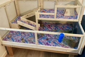 Build Your Own! DIY Guinea Pig Cage Guide + Ideas The DIY Hub: Creative Crafts, Repairs & Life Hacks Build Your Own! DIY Guinea Pig Cage Guide + Ideas | The DIY Hub: Creative Crafts, Repairs & Life Hacks