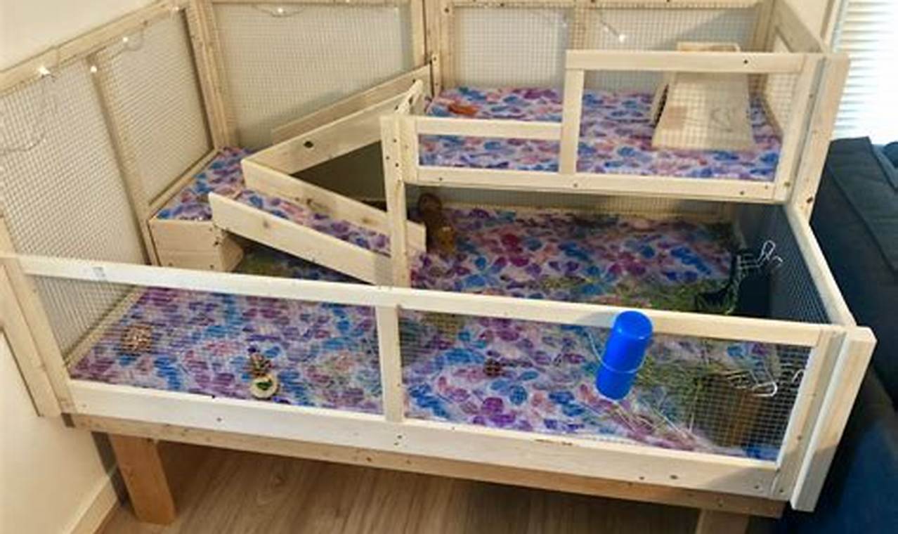 Build Your Own! DIY Guinea Pig Cage Guide + Ideas The DIY Hub: Creative Crafts, Repairs & Life Hacks Build Your Own! DIY Guinea Pig Cage Guide + Ideas | The DIY Hub: Creative Crafts, Repairs & Life Hacks