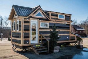 Best DIY: Tiny House Kits For Your Dream Home | The DIY Hub: Creative Crafts, Repairs & Life Hacks