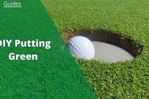 Easy DIY Putting Green Ideas + Guide | The DIY Hub: Creative Crafts, Repairs & Life Hacks