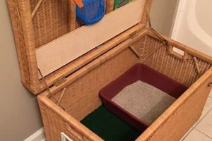 Easy DIY Litter Box: Save Money & Spoil Your Cat! | The DIY Hub: Creative Crafts, Repairs & Life Hacks