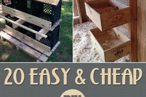 Build a Better Diy Nest Box: Plans & Tips | The DIY Hub: Creative Crafts, Repairs & Life Hacks