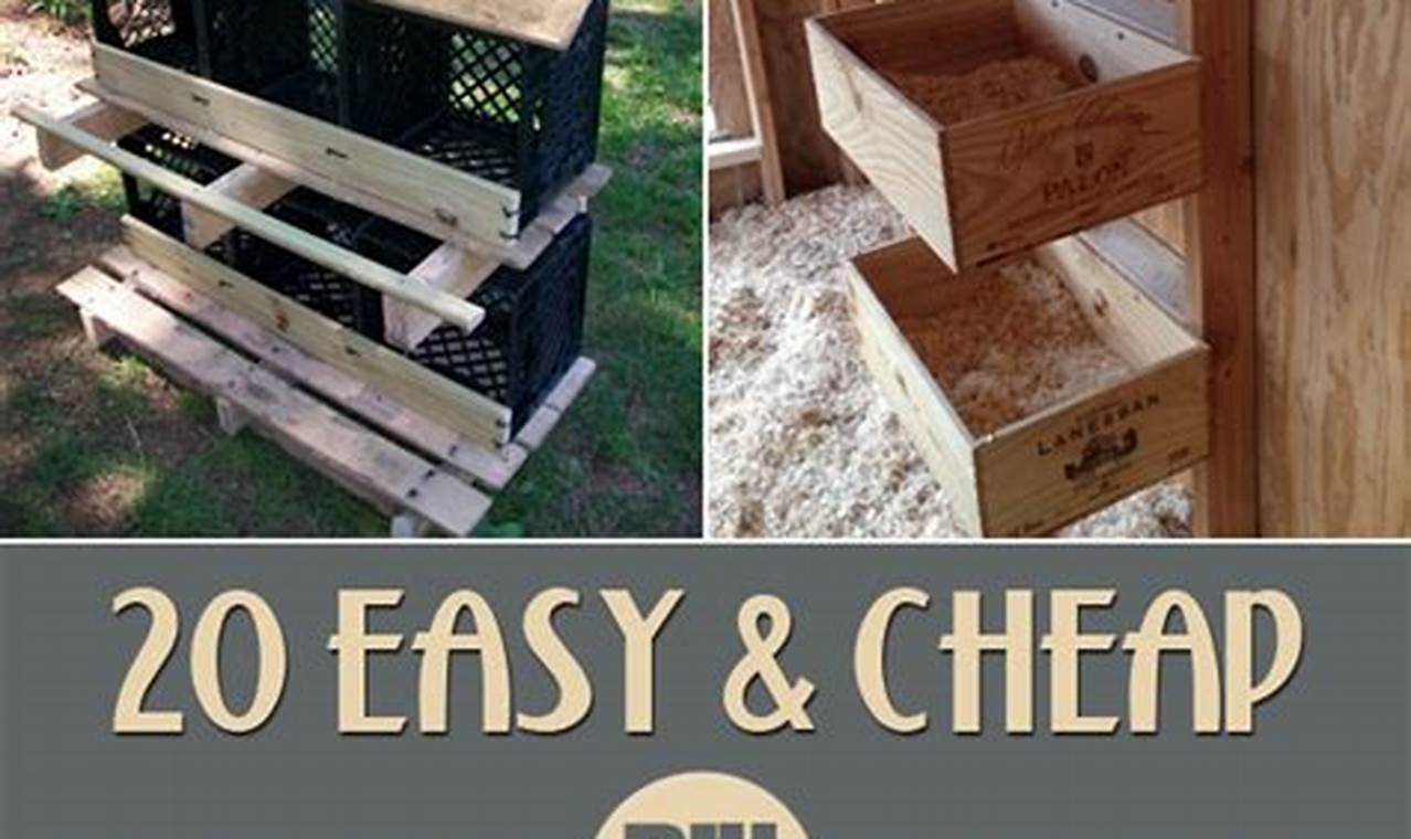 Build a Better Diy Nest Box: Plans & Tips | The DIY Hub: Creative Crafts, Repairs & Life Hacks