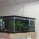 Build a Budget-Friendly DIY Fish Tank: Guide & Ideas | The DIY Hub: Creative Crafts, Repairs & Life Hacks