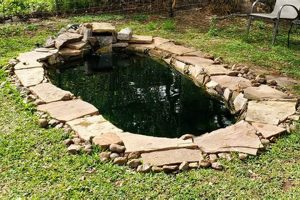 Easy DIY Duck Pond: Create Your Backyard Oasis! | The DIY Hub: Creative Crafts, Repairs & Life Hacks