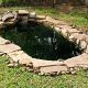 Easy DIY Duck Pond: Create Your Backyard Oasis! | The DIY Hub: Creative Crafts, Repairs & Life Hacks