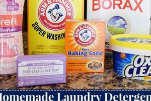 Easy DIY Laundry Powder Recipe: Save Money & Clean! The DIY Hub: Creative Crafts, Repairs & Life Hacks Easy DIY Laundry Powder Recipe: Save Money & Clean! | The DIY Hub: Creative Crafts, Repairs & Life Hacks