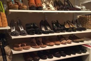 Easy DIY Closet Shoe Organizer Ideas! | The DIY Hub: Creative Crafts, Repairs & Life Hacks