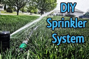 DIY Install: Your Best Lawn Sprinkler System Guide The DIY Hub: Creative Crafts, Repairs & Life Hacks DIY Install: Your Best Lawn Sprinkler System Guide | The DIY Hub: Creative Crafts, Repairs & Life Hacks