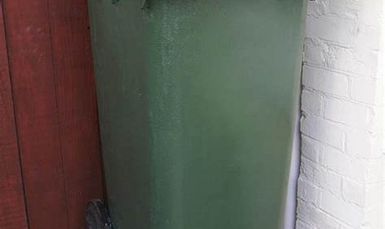 Easy DIY: Liquid Compost with a Dust Bin (Guide) The DIY Hub: Creative Crafts, Repairs & Life Hacks Easy DIY: Liquid Compost with a Dust Bin (Guide) | The DIY Hub: Creative Crafts, Repairs & Life Hacks