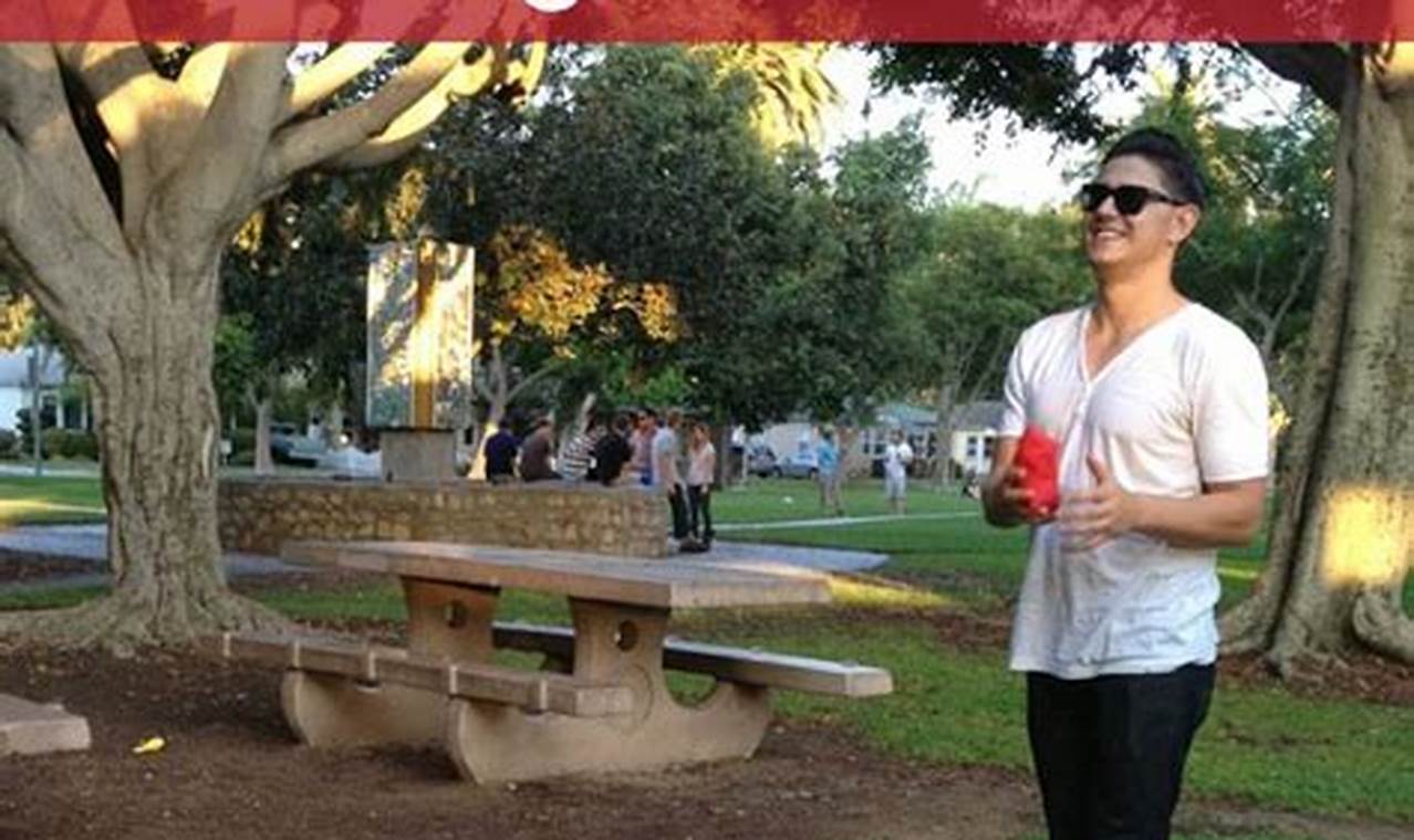 Easy DIY Bag Toss: Build Your Own Fun! | The DIY Hub: Creative Crafts, Repairs & Life Hacks