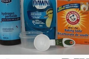 Easy DIY Stain Remover Hacks: Tips & Tricks! | The DIY Hub: Creative Crafts, Repairs & Life Hacks