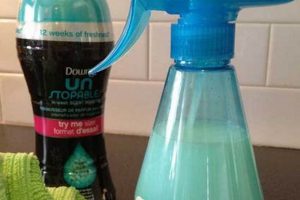 Easy DIY Febreze: Homemade Fabric Refresher Tips | The DIY Hub: Creative Crafts, Repairs & Life Hacks