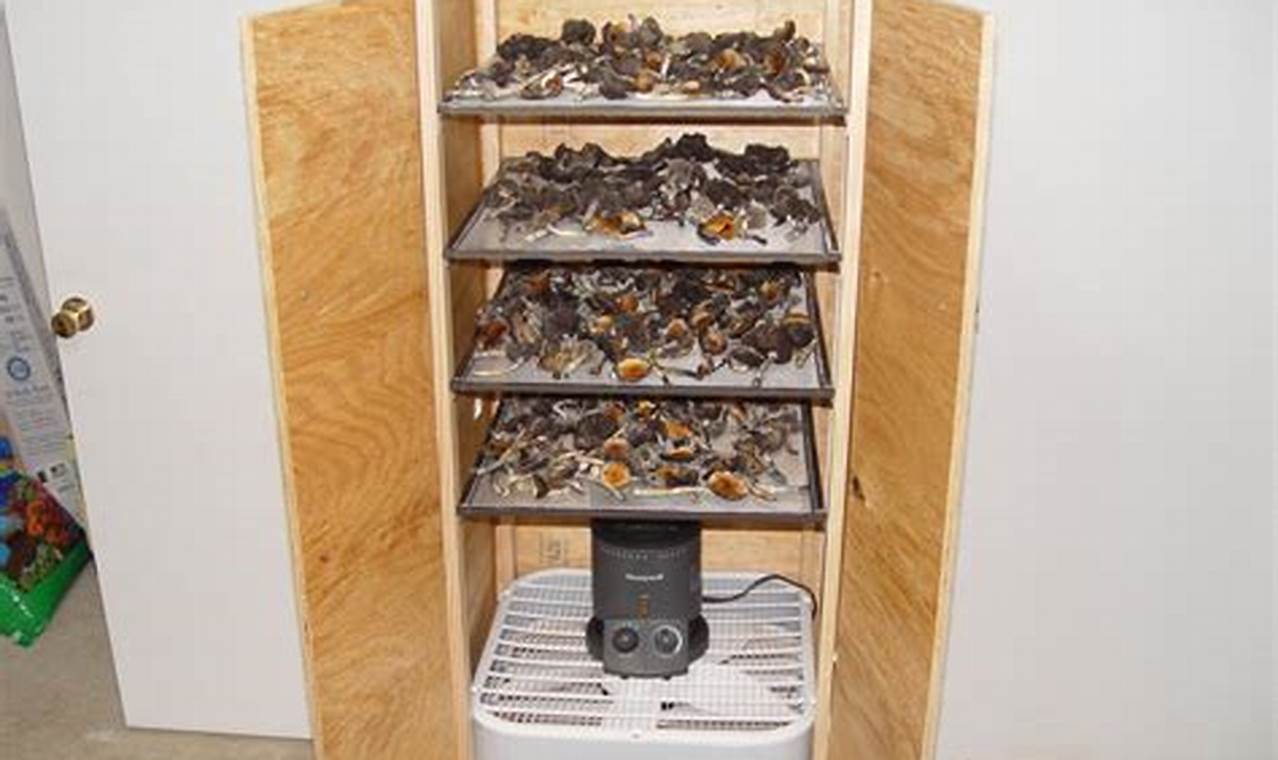 Build Your Own: DIY Dehydrator Plans & Ideas | The DIY Hub: Creative Crafts, Repairs & Life Hacks