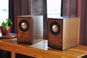 Build Your Own: DIY Speaker Projects & More! | The DIY Hub: Creative Crafts, Repairs & Life Hacks
