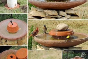 Easy DIY Birdbath Ideas: Build Your Own Today! | The DIY Hub: Creative Crafts, Repairs & Life Hacks