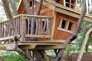 Build Your Dream DIY Treehouse Escape: A DIY Guide | The DIY Hub: Creative Crafts, Repairs & Life Hacks