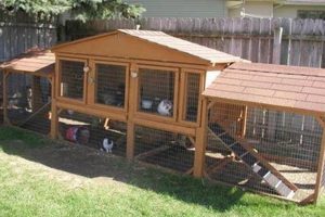 Build a Dream DIY Bunny Hutch: Plans & More! The DIY Hub: Creative Crafts, Repairs & Life Hacks Build a Dream DIY Bunny Hutch: Plans & More! | The DIY Hub: Creative Crafts, Repairs & Life Hacks