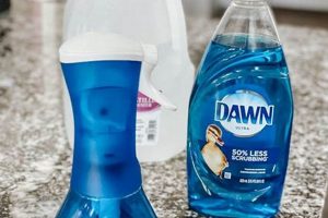 Easy DIY Dawn Powerwash: Save Money & Clean! | The DIY Hub: Creative Crafts, Repairs & Life Hacks