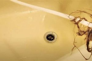 Best DIY Drain Snake: Easy Fixes & More! | The DIY Hub: Creative Crafts, Repairs & Life Hacks