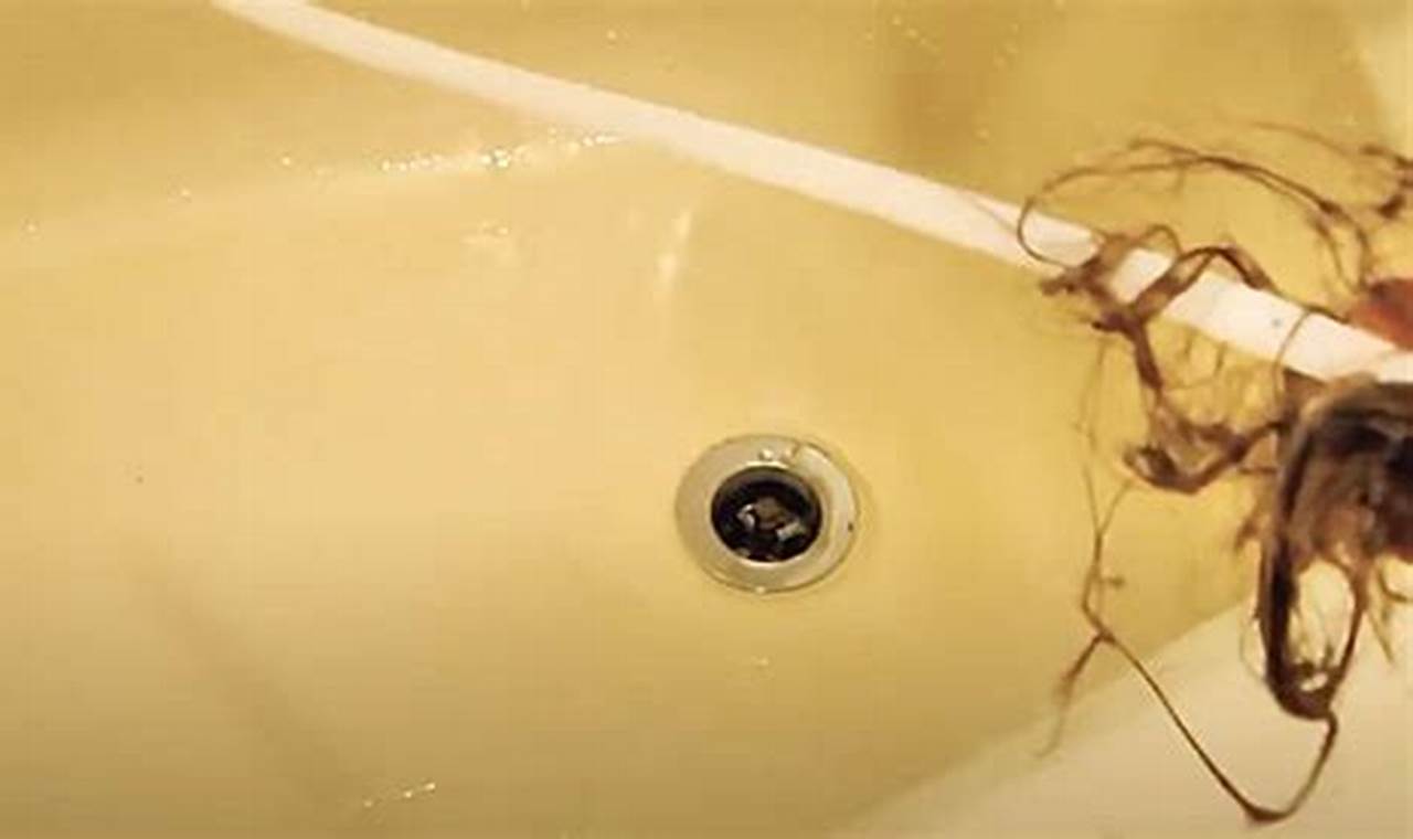 Best DIY Drain Snake: Easy Fixes & More! The DIY Hub: Creative Crafts, Repairs & Life Hacks Best DIY Drain Snake: Easy Fixes & More! | The DIY Hub: Creative Crafts, Repairs & Life Hacks