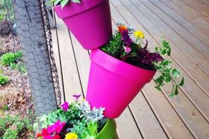 Easy DIY Plant Container Ideas: Garden on a Budget! | The DIY Hub: Creative Crafts, Repairs & Life Hacks
